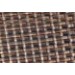 Safari Brown colour